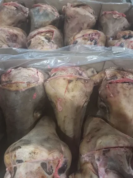 مرکز خرید گوشت و کله‌ پاچه در مشهد