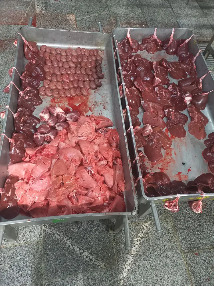 meat 2 مرکز فروش و پخش عمده جگر بره در مشهد