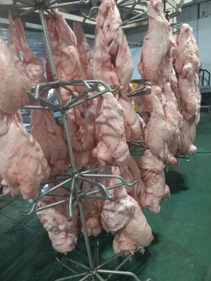 فروش کلی و جزئی دنبه گوسفندی در ساری