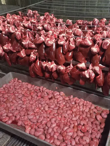 فروش عمده جگر، دل و قلوه گوساله در گرگان