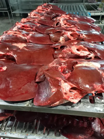 فروش عمده جگر، دل و قلوه گوساله در گرگان