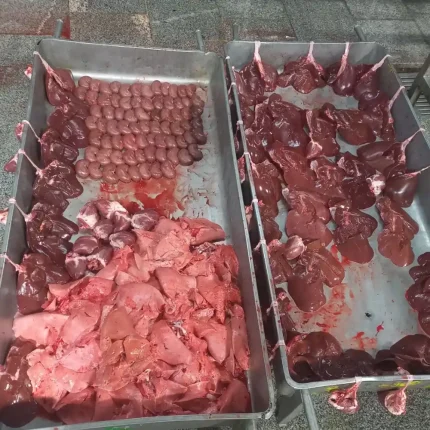 فروش عمده جگر و گوشت بره در نوشهر
