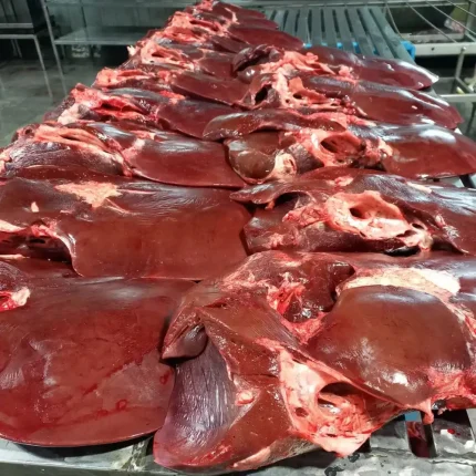 فروش عمده جگر دل قلوه در ساری